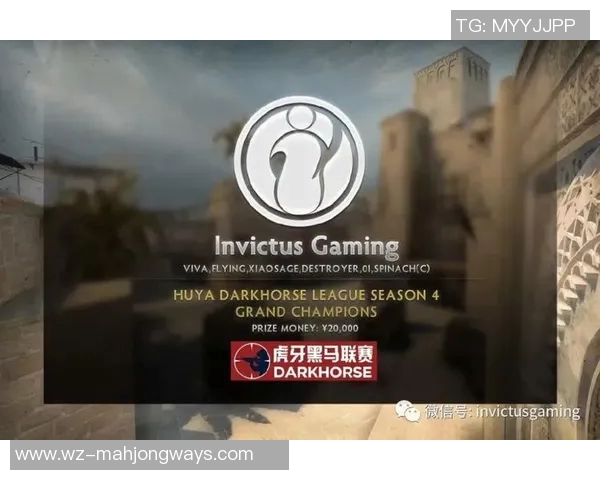 IG战队的蜕变与成长CSGO领域中的传奇转型之路
